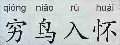 穷鸟入怀的拼音