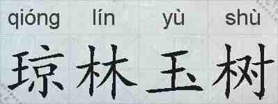 琼林玉树的拼音