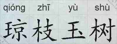 琼枝玉树的拼音