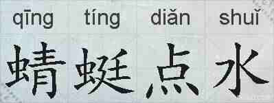 蜻蜓点水的拼音