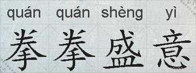 拳拳盛意的拼音