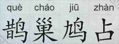 鹊巢鸠占的拼音