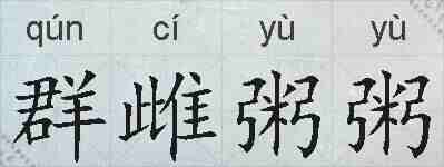 群雌粥粥的拼音