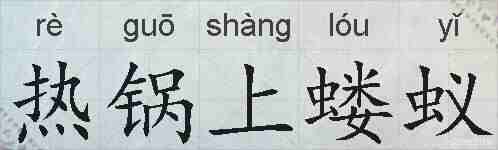 热锅上蝼蚁的拼音
