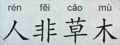 人非草木的拼音