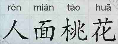 人面桃花的拼音