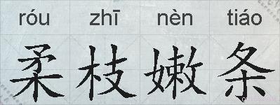 柔枝嫩条的拼音