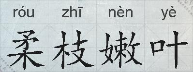 柔枝嫩叶的拼音