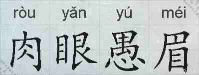 肉眼愚眉的拼音
