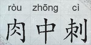 肉中刺的拼音