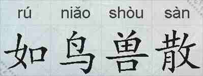 如鸟兽散的拼音
