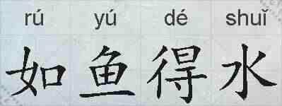 如鱼得水的拼音