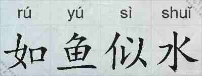 如鱼似水的拼音