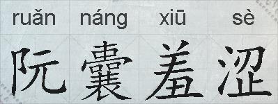 阮囊羞涩的拼音