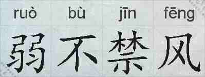 弱不禁风的拼音