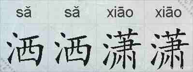 洒洒潇潇的拼音