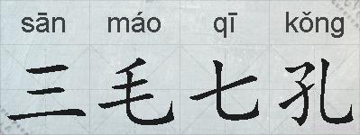 三毛七孔的拼音