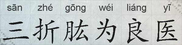 三折肱为良医的拼音