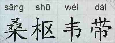 桑枢韦带的拼音