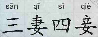 三妻四妾的拼音