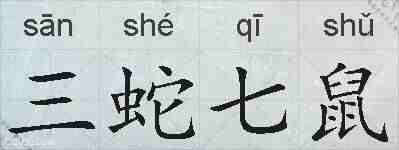 三蛇七鼠的拼音