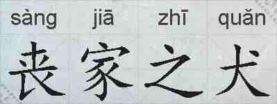 丧家之犬的拼音