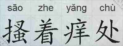 搔着痒处的拼音