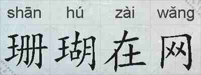珊瑚在网的拼音