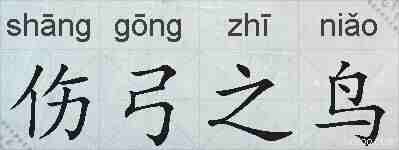 伤弓之鸟的拼音