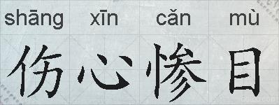伤心惨目的拼音