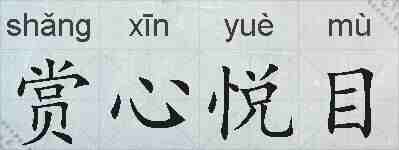 赏心悦目的拼音