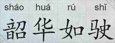 韶华如驶的拼音