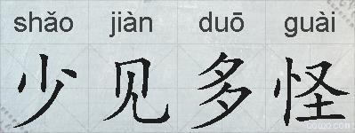 少见多怪的拼音