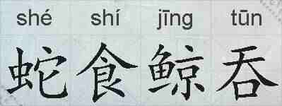 蛇食鲸吞的拼音