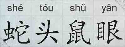 蛇头鼠眼的拼音