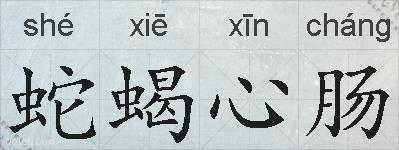 蛇蝎心肠的拼音