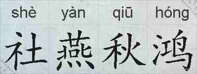 社燕秋鸿的拼音