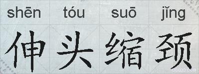 伸头缩颈的拼音