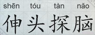伸头探脑的拼音