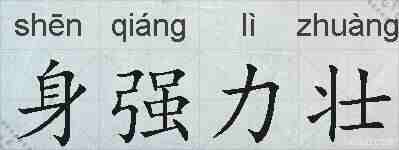 身强力壮的拼音