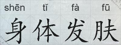 身体发肤的拼音