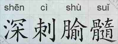 深刺腧髓的拼音