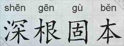 深根固本的拼音
