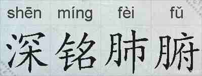 深铭肺腑的拼音