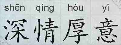 深情厚意的拼音