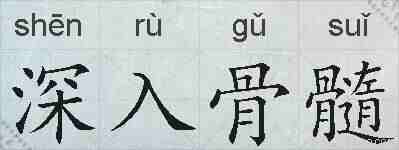 深入骨髓的拼音