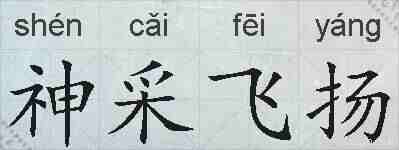 神采飞扬的拼音