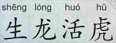 生龙活虎的拼音
