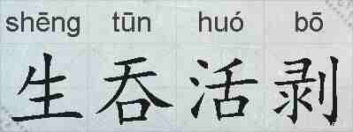 生吞活剥的拼音