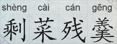 剩菜残羹的拼音